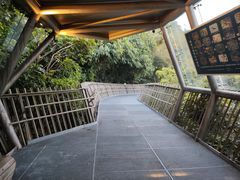 -福道