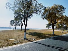 -漕湖湿地公园