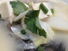 鱼头豆腐汤-阳江河堤老牌曾记美食