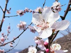 -百丽宫影城(嘉里汇店)