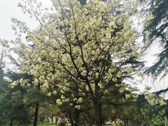 -花溪公园