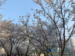 -西北湖绿化广场