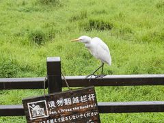 -普洱太阳河森林公园