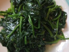 清炒菠菜-望乡楼上海菜(日月光店)
