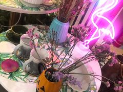 -MEET缘燕窝甜品&Tang's cake(华润万象城店)