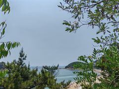 -棒棰岛宾馆景区