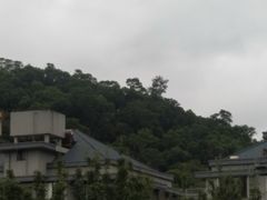 -金鸡山公园