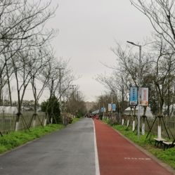 -前小桔亲子创意农场·草莓采摘·露营烧烤