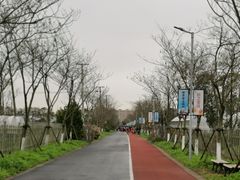 -前小桔亲子创意农场·草莓采摘·露营烧烤