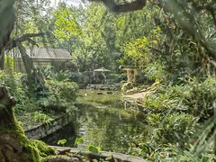 -南山植物园