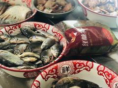 -龙小海荆沙鸽子店(瑞安街店)