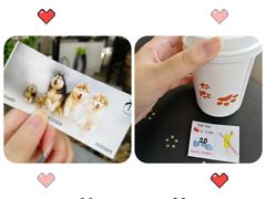 -TrueLove @ Neverland (Husky Cafe)