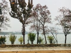 -青鹤谷(苏州店)