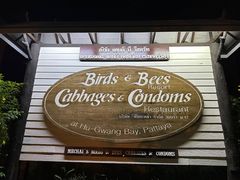 -卷心菜和避孕套餐厅(Pattaya)