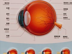 -嘉华国际商业中心