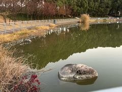 -美兰湖景区