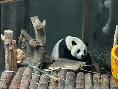 -青藏高原野生动物园
