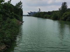 -盐城丹顶鹤湿地生态旅游区