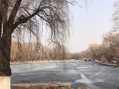 -北陵公园