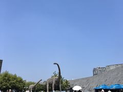 -安徽省地质博物馆