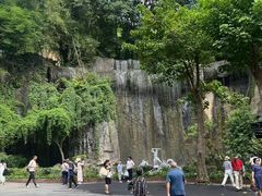 -西双版纳原始森林公园
