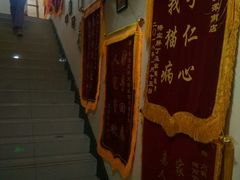 -瑞派宠物医院·24h·骨外科·皮肤科·全科宠物医疗转诊中心(沈阳浑南院)