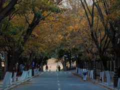 -八大关景区