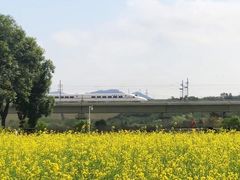 -光明小镇欢乐田园