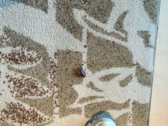 -绿城千岛湖喜来登度假酒店