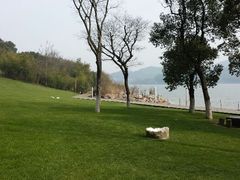 android_upload_pic-天目湖涵田度假村