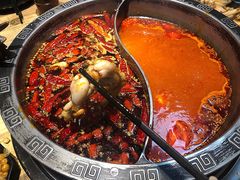 -销魂美蛙鱼头火锅(上海首店)