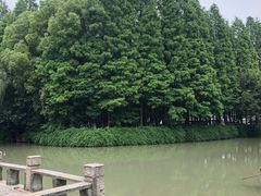 -乌镇东栅景区