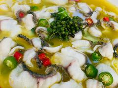 -青花椒花椒鱼(合生汇店)