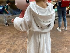 -杭州开元森泊度假乐园