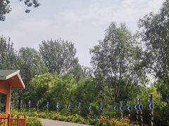 -东郊湿地公园