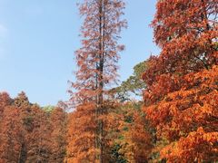 -广州市白云山风景名胜区
