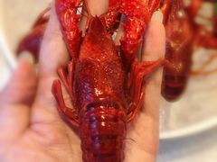 -淮扬韵.淮扬味道