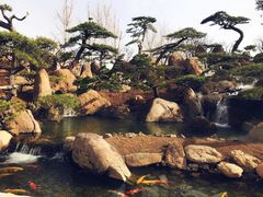 -罗红摄影艺术馆