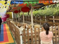 -广州长隆国际大马戏