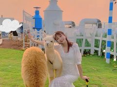 -Blue Concept Cafe&Farm·關於藍