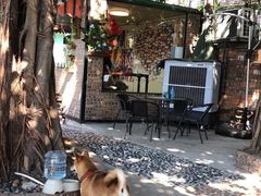 -柴犬高等学院·狗咖·柴犬售卖·宠物训练