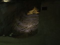 -汉景帝阳陵博物院