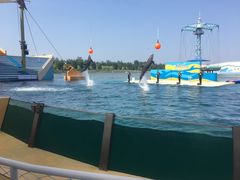 -秦皇岛乐岛海洋王国