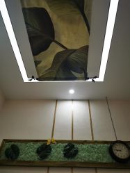 -芳朵美容养生SPA