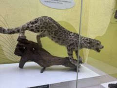 -国家自然博物馆