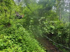 -峡谷浮石林景区