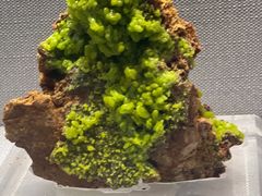 -湖南省地质博物馆