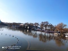 -济南国际园博园