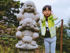 -武陵山森林公园