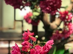-徽珍源(龙茗路店)